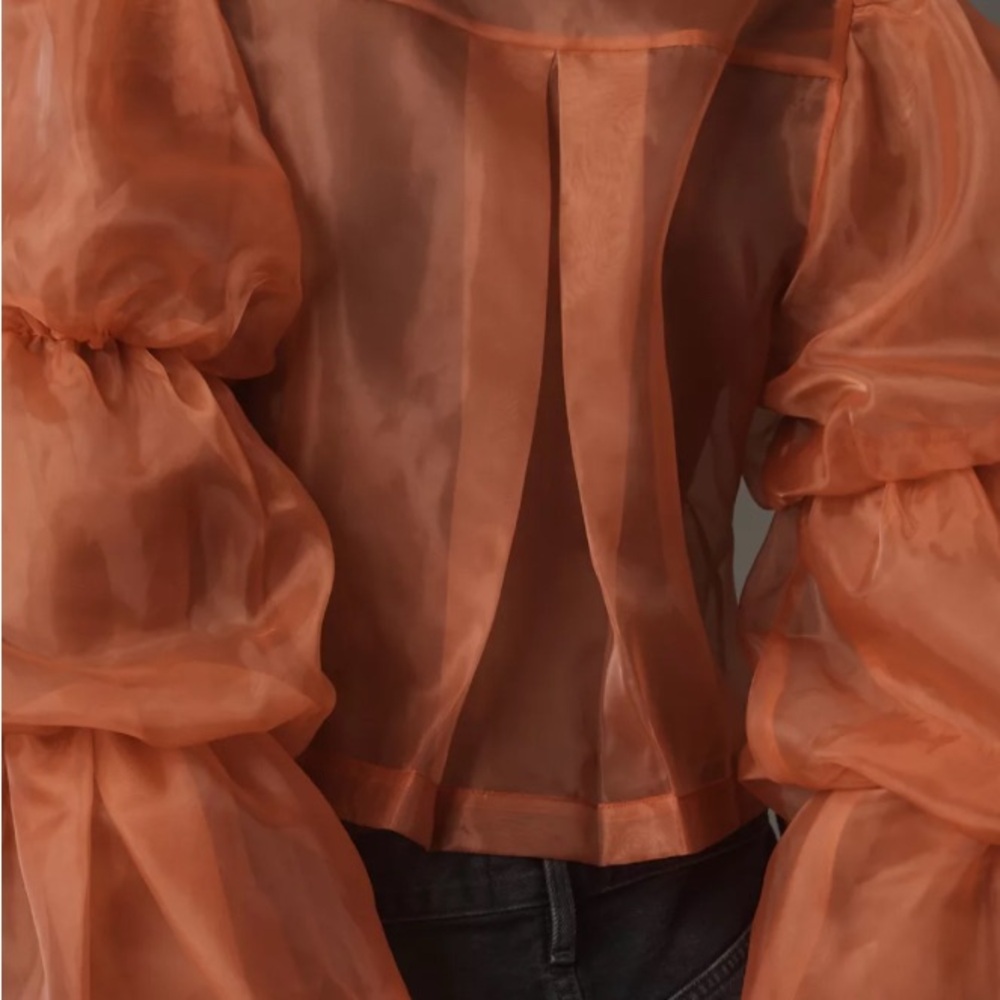 Anthropologie Sunday in Brooklyn Sheer Puff-Sleeve Buttondown Shirt - Picture 2 of 6